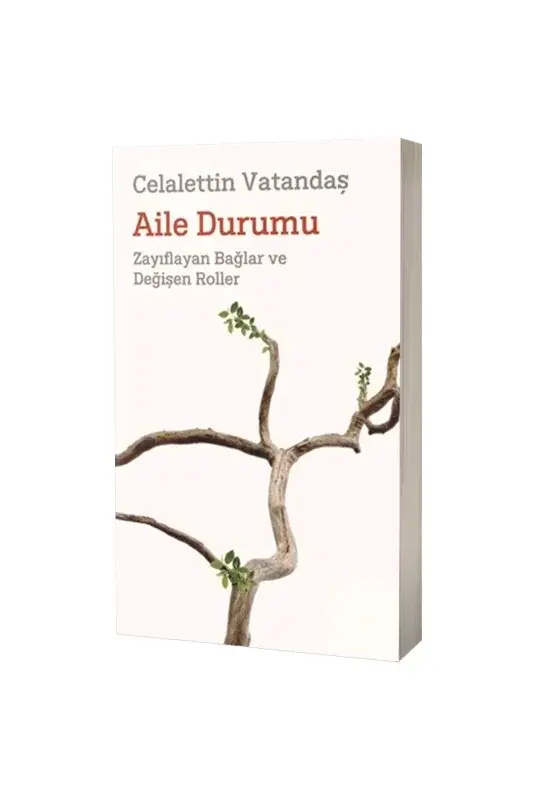 Aile Durumu - 2