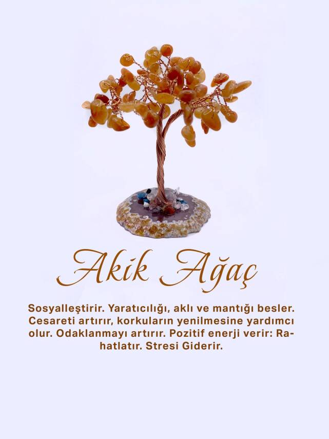 Akik Doğal Taş Ağaç - Akik Taşı Zemin Üzerine - 1