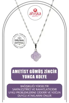 Ametist Doğal Taş Gümüş Zincir Yonca Kolye - 1