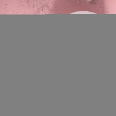 Aslan Burcu Kolye Bordo Granat Lal, Güneş Taşı, Jasper, Kaplan Gözü, Kehribar, Renkli Turmalin, Sitrin - 2