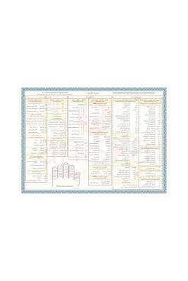 Avamil Şeması Renkli - Ahıska Yayınevi