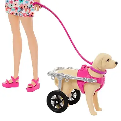Barbie Engelli Köpeği Oyun Seti - Barbie (1)