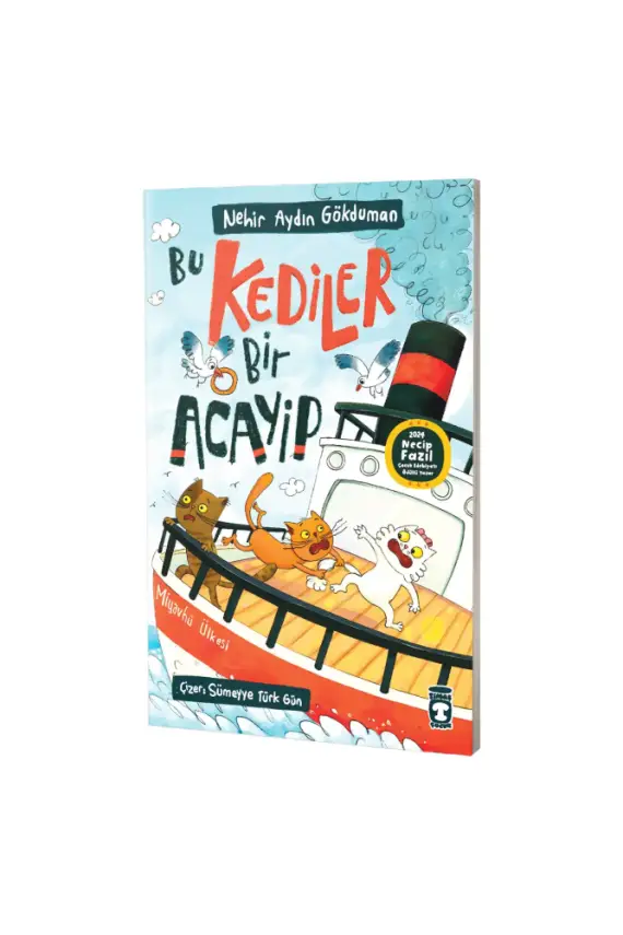 Bu Kediler Bir Acayip - 1