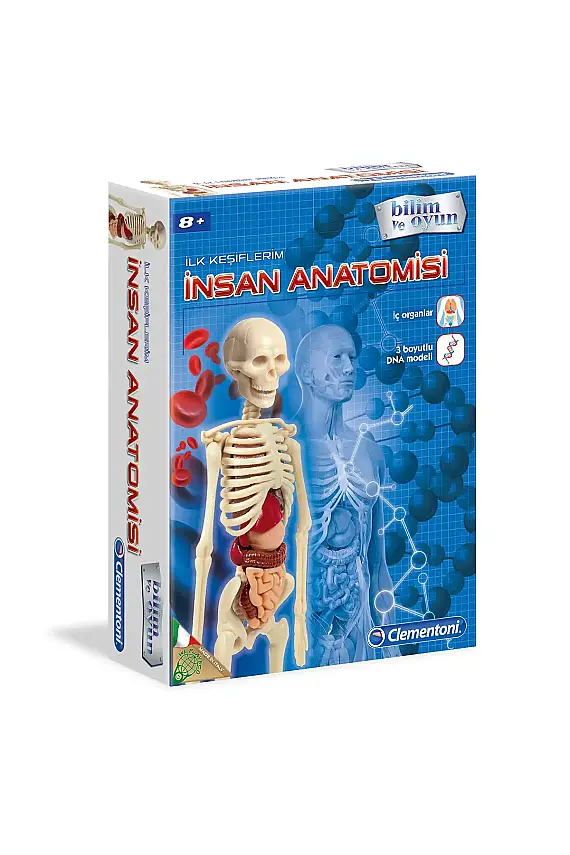 Clementoni İlk Keşiflerim İnsan Anatomisi - 1