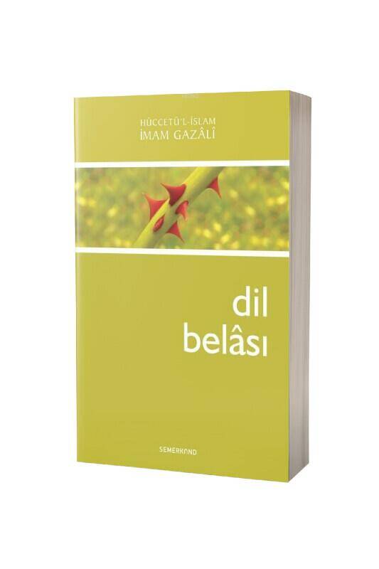 Dil Belası - 2
