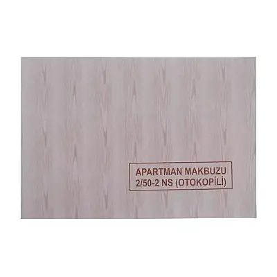 Dilman Apartman Makbuzu 50 Yaprak 2 Nüshalı - 1