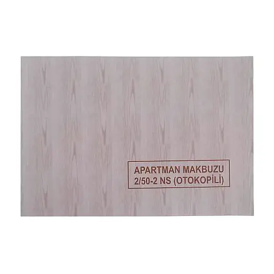 Dilman Apartman Makbuzu 50 Yaprak 2 Nüshalı - 1