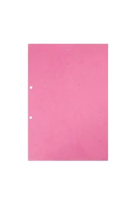 Dilman Ara Kartonu Klasör A4 100 Lü - 2