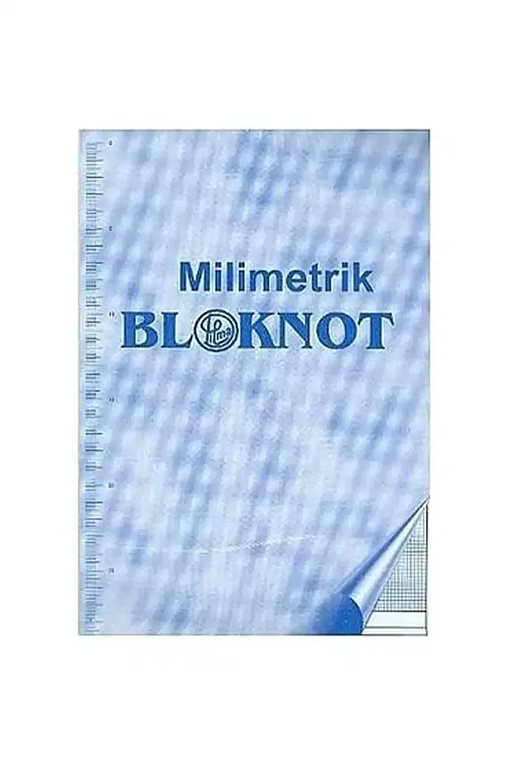 Dilman Milimetrik Bloknot Defteri A4 Mavi - 1