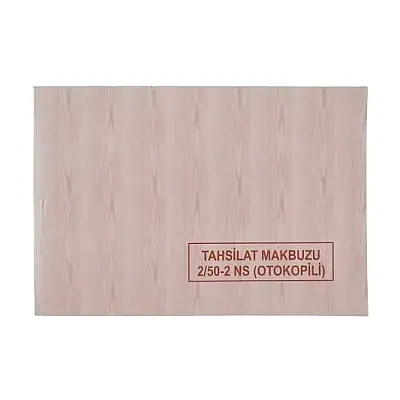 Dilman Tahsilat Makbuzu 2 Nüshalı - 4