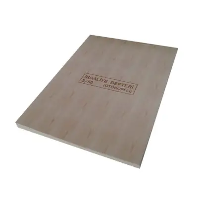 Dilman Teknik Resim Kağıdı A4 Dikey - 2