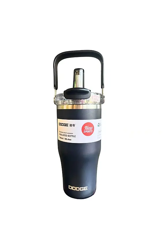 Dodge Çelik Matara 620 ml - 1