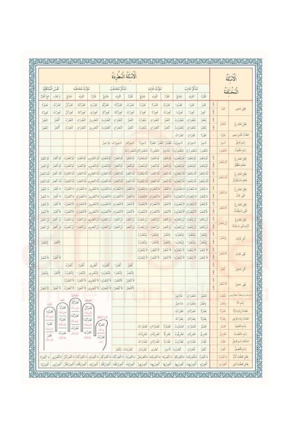 Emsile Bina Şeması Renkli - 1