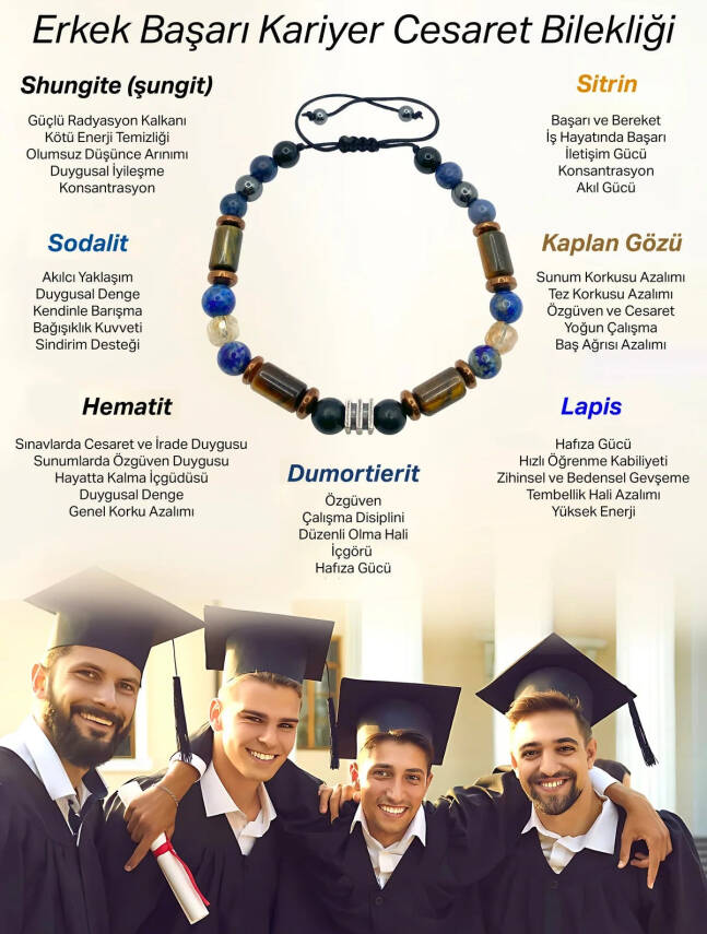 Erkek Başarı Kariyer Cesaret Bilekliği Shungite (Şungit) - Sodalit - Hematit - Lapis - Dumortierit - Kaplan Gözü - Sitrin - 2