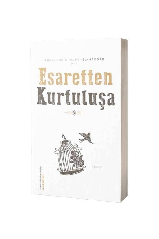 Esaretten Kurtuluşa - 2