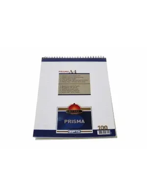 Gıpta Bloknot Prisma Çizgili Defter 100 Yp A4 Karton Kapak Spiralli - 2