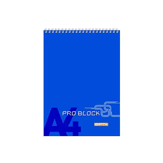 Gıpta Bloknot Pro Block Kareli Defter 40 Yp A5 Karton Kapak Spiralli - 2