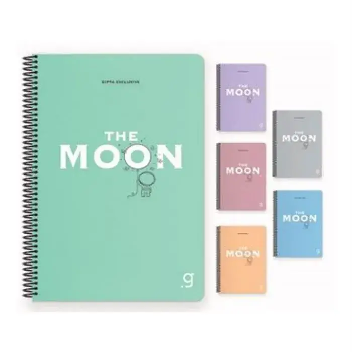 Gıpta İstanbul Çizgili Defter 80 Yp 17x24 Sert Kapak Spiralli - 2