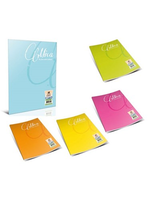 Gıpta Mica Güzel Yazı Defteri 40 Yp A4 Plastik Kapak - 3