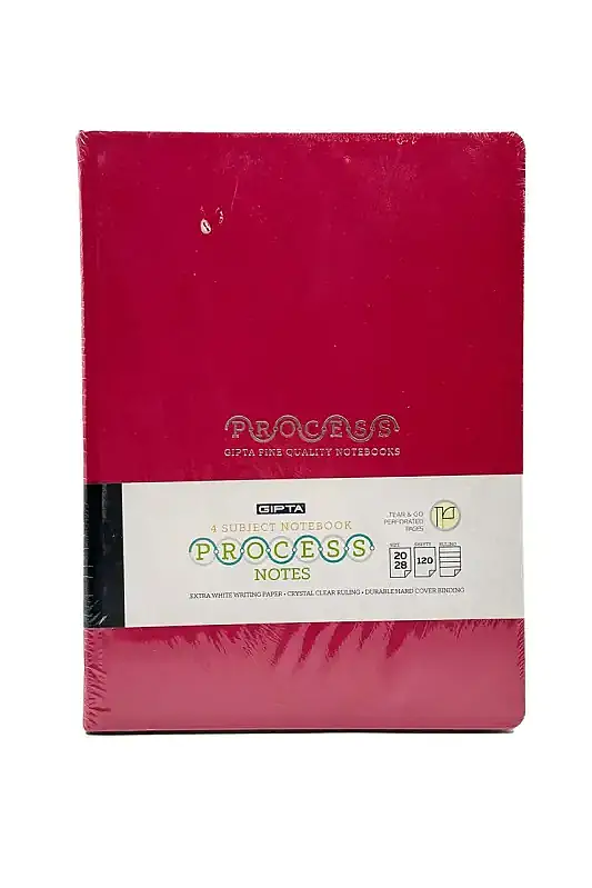 Gıpta Process Çizgili Defter 120 Yp 20 x 28 Sert Kapak - 2