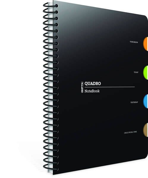 Gıpta Quadro Spiralli Defter Kareli 4 Seperatörlü 150 Yp 17x24 - 1