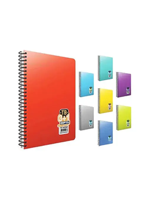 Gıpta Tb Defter 200 Yp A4 4+1 Pastoral Spiralli - 2