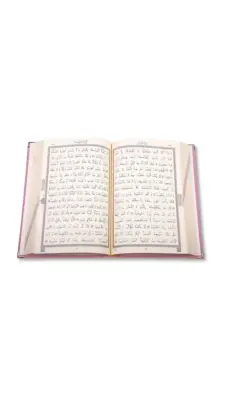 Hafız Boy Kadife Kuranı Kerim Pembe - Hayrat Neşriyat (1)