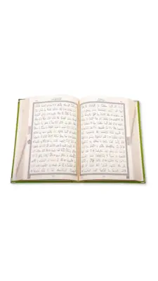 Hafız Boy Kadife Kuranı Kerim Yeşil - Hayrat Neşriyat (1)