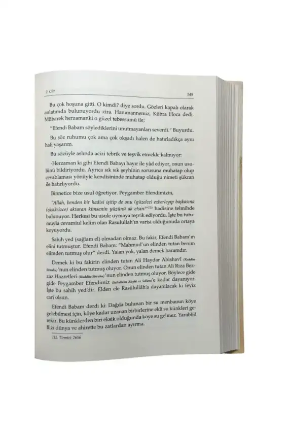 Hatıratı Muhterem Üstazım Müceddid Mahmud Ustaosmanoğlu - 2