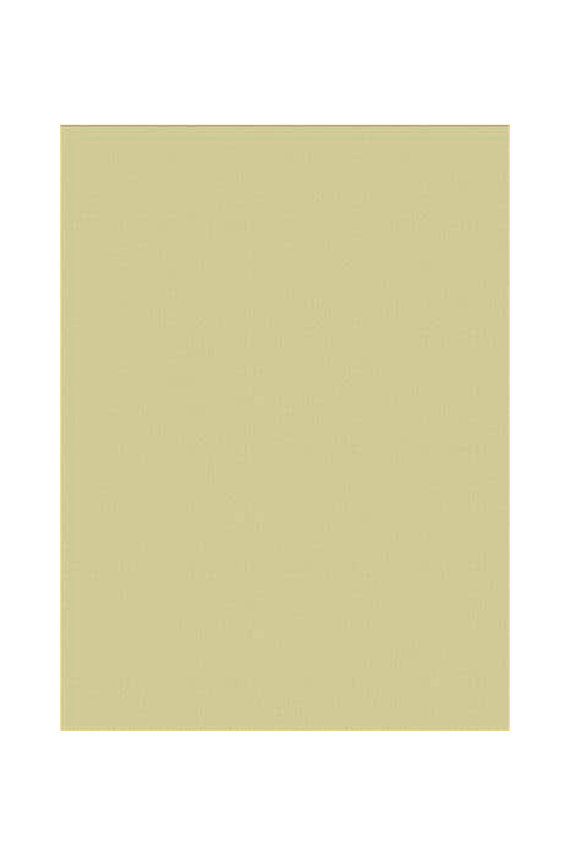 Herboy Fon Kartonu 50 x 70 160 gr Krem No:11 - 1