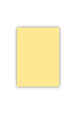Herboy Fon Kartonu 50 x 70 160 gr Sarı No:28 - 1