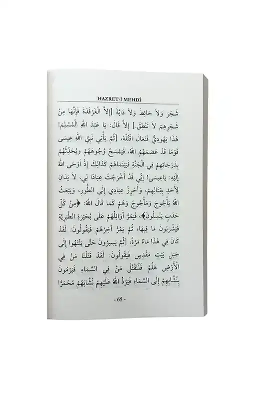 Hz. Mehdi - 2
