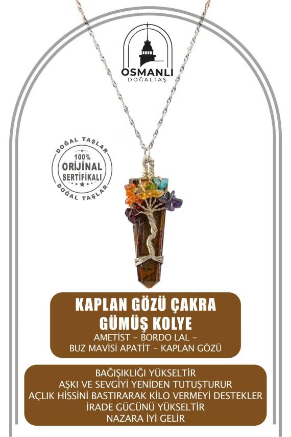 Kaplan Gözü Çakra Gümüş Kolye Kaplan Gözü - 2