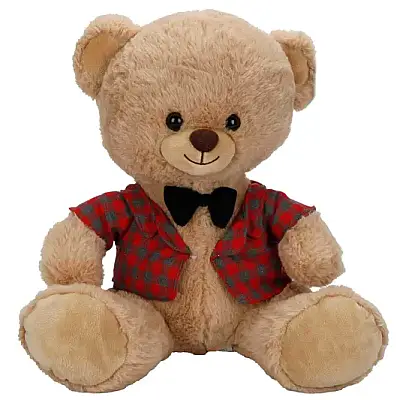 Kıyafetli Peluş Ayı 32 cm - 6