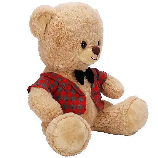 Kıyafetli Peluş Ayı 32 cm - 8