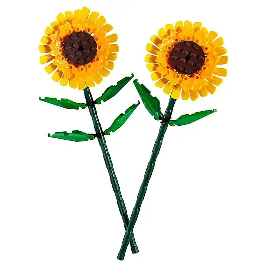 Lego Ay Çiçeği 40524 - 5