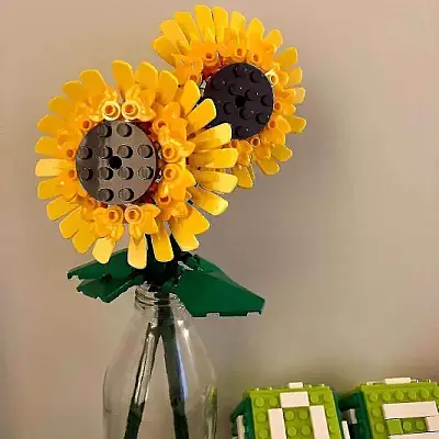 Lego Ay Çiçeği 40524 - 7