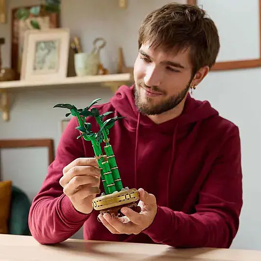 Lego Botanicals Şans Bambusu 10.344 - 14