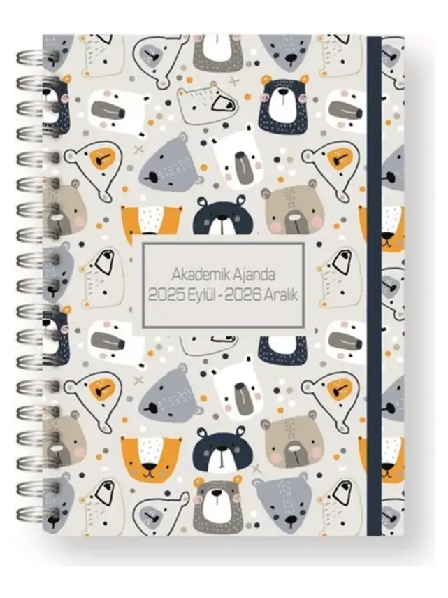 Liz Ajanda 17X24 Akademik Spr. - 2