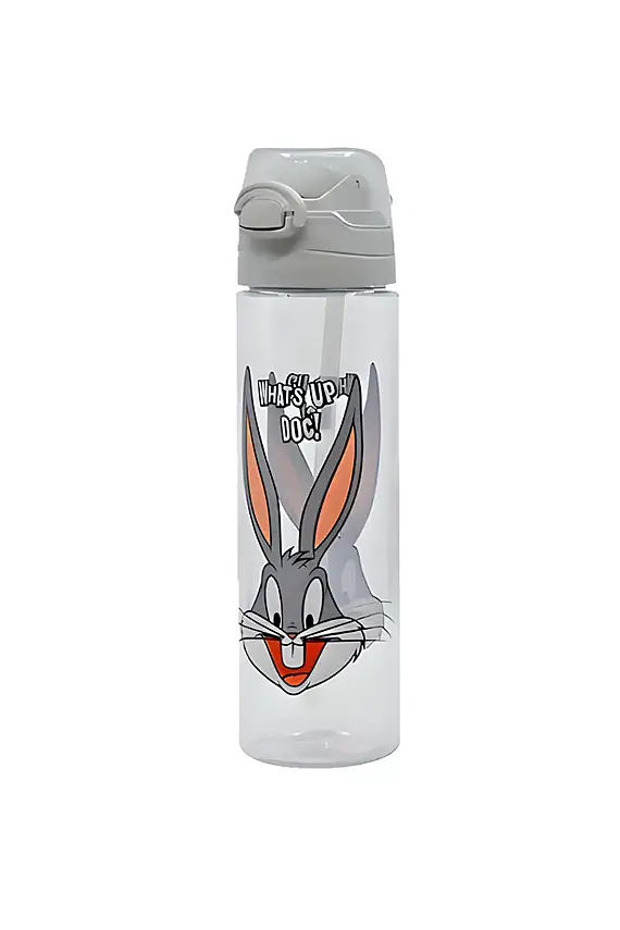 Looney Tunes 700 ml Matara - 1
