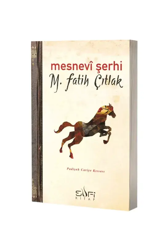 Mesnevi Şerhi - 2