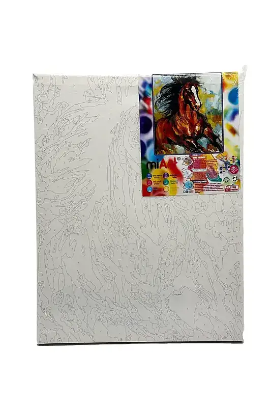 Miart Sayılarla Boyama Seti At 30 x 40 cm - 2