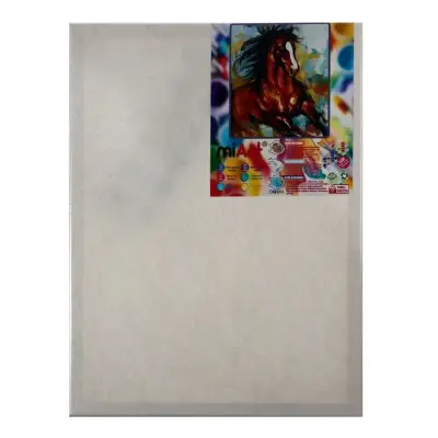 Miart Sayılarla Boyama Seti At 30x40 cm - 3