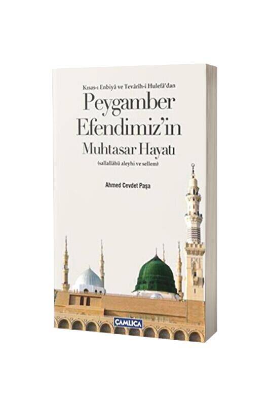 Peygamber Efendimizin Muhtasar Hayatı - 2