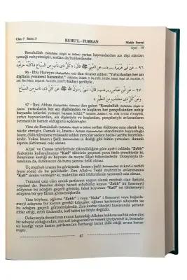 Ruhul Furkan Tefsiri 8. Cilt - Ahıska Yayınevi (1)