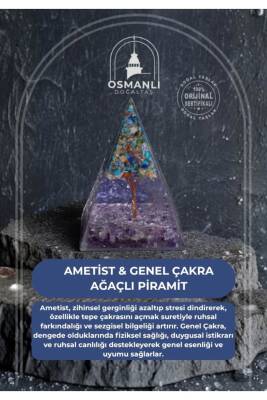 Sertifikalı Ametist & Genel Çakra Ağaçlı Piramit - 2