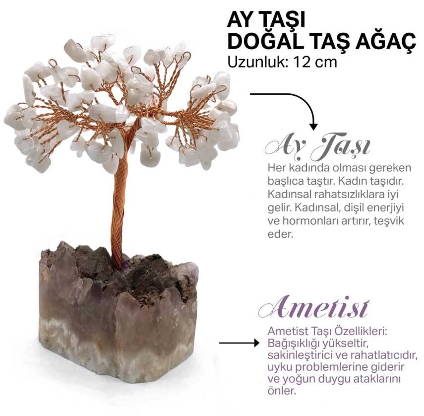 Sertifikalı Hakiki Orijinal Doğal Taş Ay Taşı Ağaç - Alt Kısmı Ametist - 1