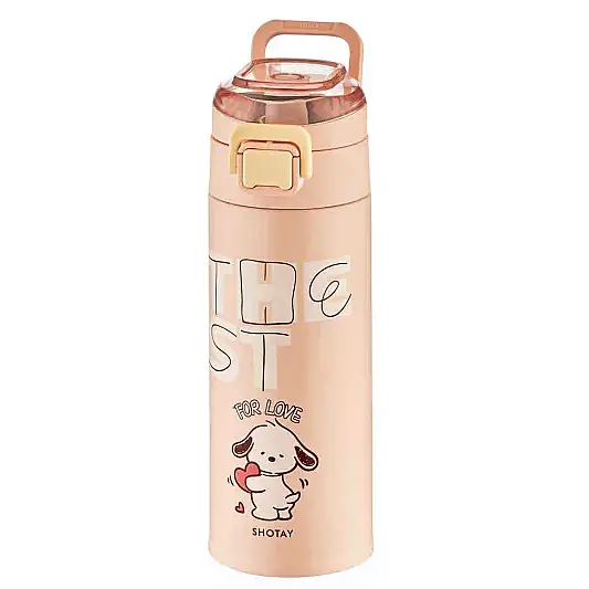 Shotay Chıc Çelik Termos Matara 460 ml - 9