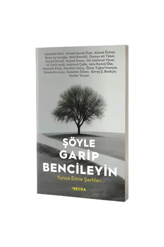 Şöyle Garip Bencileyin - 1