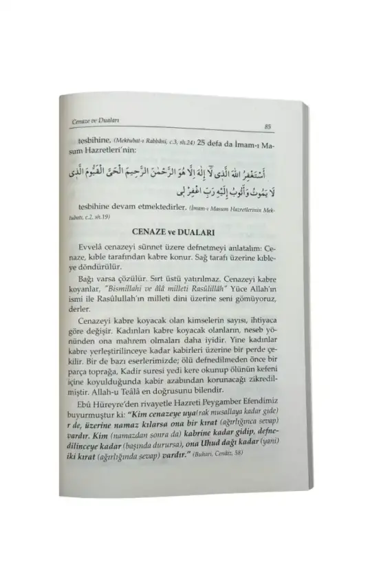 Talebenin Hazinesi Roman Boy - Karton Kapak - 4
